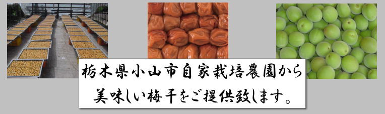 栃木県小山市自家栽培農園から美味しい梅干をご提供致します。