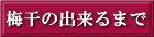 梅干の出来るまで