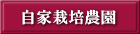 自家栽培農園