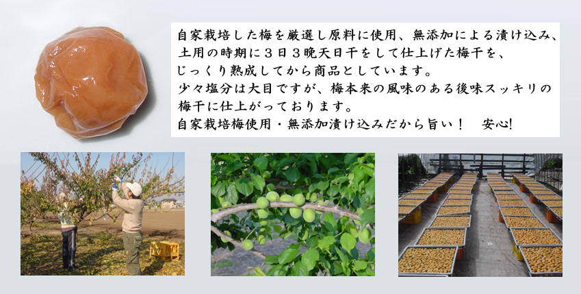 自家栽培　梅干　三星食品