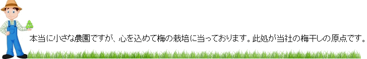 本当に小さな農園ですが、心を込めて梅の栽培に当っております。此処が当社の梅干しの原点です。