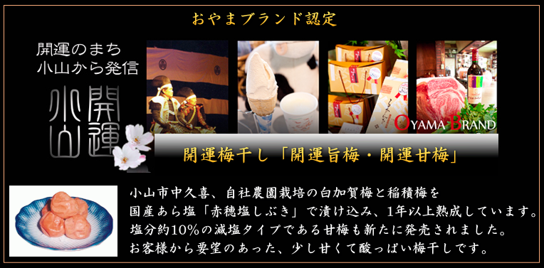 三星食品 梅干 製造 販売 栃木県 小山ブランド