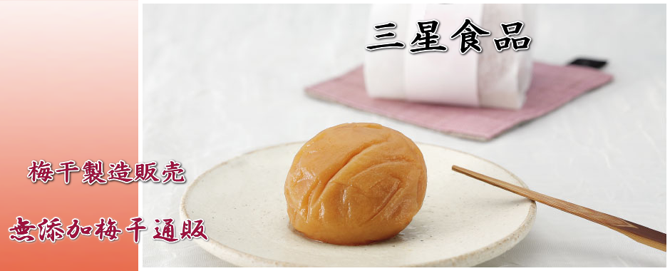 三星食品 梅干製造販売 栃木県 小山市